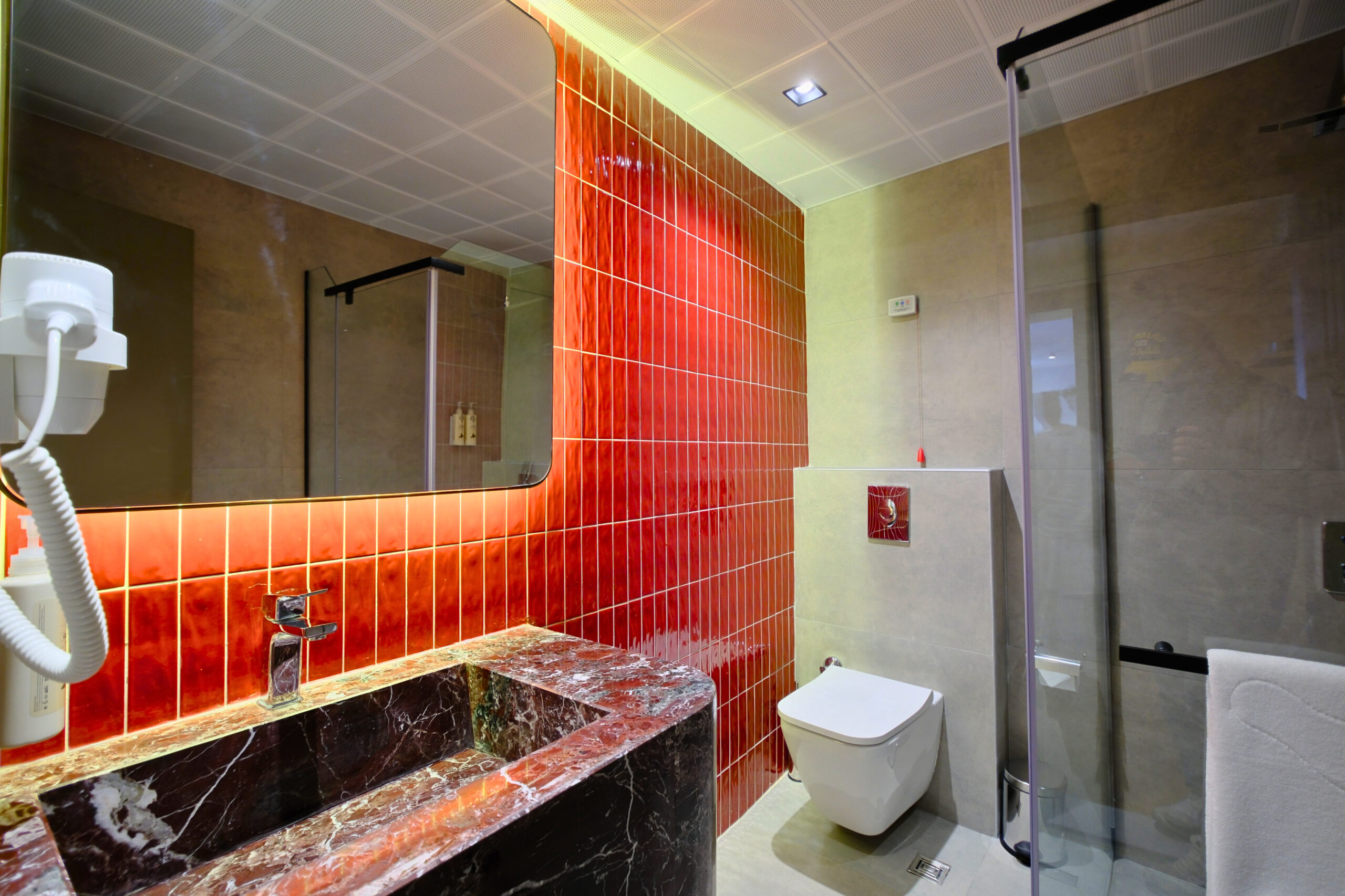 Suite Room Bathroom Detail